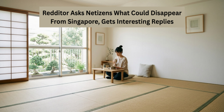 Redditor Asks Netizens What Could Disappear From Singapore, Gets Interesting Replies