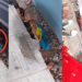 Mother Shields Her Kids As Train Passes Dangerously Close At Bihar Railway Station