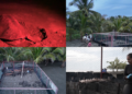 Panama Communities Race To Save Sea Turtles From Climate Change