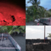 Panama Communities Race To Save Sea Turtles From Climate Change