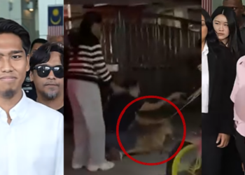 She Tried To Stop Officials From Taking Rocky. Now She’s Charged After The Dog’s Death