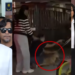 She Tried To Stop Officials From Taking Rocky. Now She’s Charged After The Dog’s Death