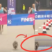 Cat Joins Marathon, Casually Overtakes Runner And Becomes Unexpected Race Star