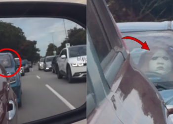 Driver’s Face Mask Had Everyone On The Road Doing A Double Take