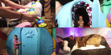 Mexico City unveils cutting-edge interactive CAT Museum