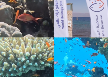 Jordan’s stunning Aqaba Marine Reserve wins UNESCO World Heritage status