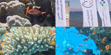 Jordan’s stunning Aqaba Marine Reserve wins UNESCO World Heritage status