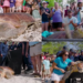 Timmy the 270-pound loggerhead turtle returns to Atlantic after weeks of rehabilitation