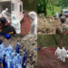 Body bags in the forest – Mass burials of unidentified victims held in Nepal after deadly floods