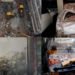At least seven dead as five-storey Delhi, India student building collapses after locals say safety fears were flagged