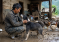 Dog Survives Devastating Nepal Floods, Waits For Owner To Return