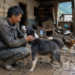 Dog Survives Devastating Nepal Floods, Waits For Owner To Return
