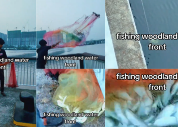 Angler Pulls Dozens Of Fish From Woodlands Waterfront In Massive Fishing Haul
