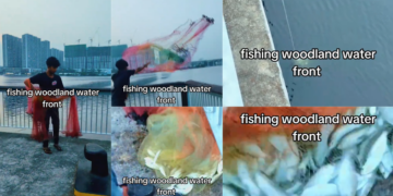 Angler Pulls Dozens Of Fish From Woodlands Waterfront In Massive Fishing Haul