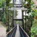 MacRitchie TreeTop Walk: Windsor Shortcut + Nature Vibes You Didn’t Know You Needed
